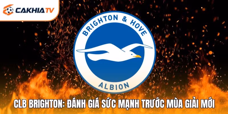 CLB Brighton: Đánh Giá Sức Mạnh Trước Mùa Giải Mới